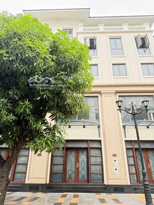 dãy vịnh tây không số trục thông. quá hợp lí để kinh doanh và đầu tư. giá cực hợp lí