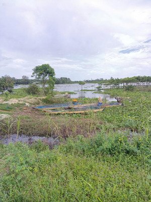 bán đất view hồ, phù hợp nghỉ dưỡng, cắm trại, chèo thuyền, tiệc ngoài trời, săn bắt cá tự nhiên...