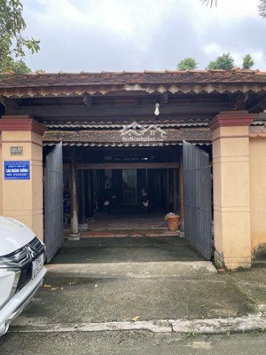 chính chủ, cho thuê nhà nguyên căn vừa ở vừa kinh doanh