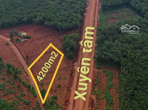 4300m2 sát mặt tiền đường xuyên tâm nối khu công nghiệp, phủ hồng lên thổ cư, xây trọ kế kcn