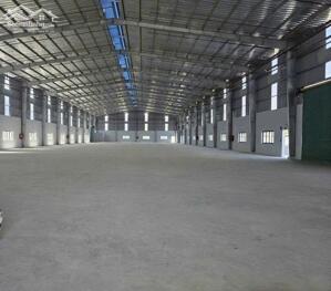 CHO THUÊ KHO XƯỞNG MỚI NGOÀI KCN BẾN LỨC LONG AN 2200M2 GIÁ 150TR- PCCC TỰ ĐỘNG- ĐƯỜNG CONT