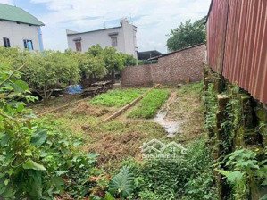 chính chủ bán mảnh đất siêu đẹp: 77,6m xuân đồng- tân minh- sóc sơn: giá hơn tỷ