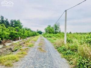 Hơn 1000m2 đường thông. Ngay KCN Phước Đông. 850tr