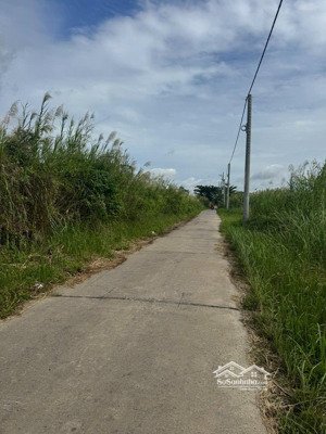 đất đường ngô quang thắm, xã long thới, nhà bè, giá: 11.9ty, dt: 1117m2, 15x77m, thổ cư 300m2.