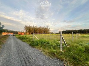 ngộp cần trả vốn ngân hàng bán đất 150m2 full thổ cư tại suối đá, dương minh châu gí 350 triệu