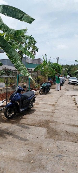 đất đường nguyễn văn tạo, nhà bè, giá: 3.6ty, dt: 320m2, 17x19m, thổ cử 169m2, đường 6m.