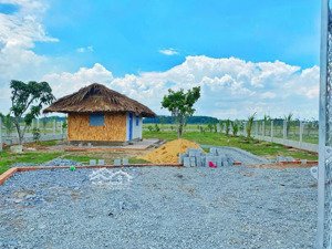 bán 1079m2 đất trồng cây tặng ngôi nhà vườn đẹp tại trung lập hạ - củ chi giá 1tỷ480tr có sổ sẵn