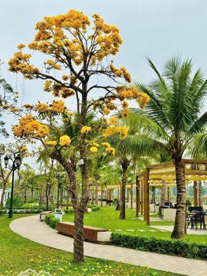 cần bán nhà liền kề paris full nội thất