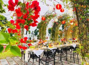 cắt lỗ sâu bán gấp lô đất lk20 danko city thái nguyên vị trí vàng: