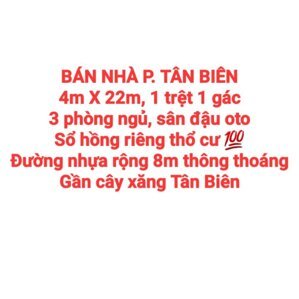BÁN NHÀ TÂN BIÊN, 1TRỆT 1GÁC LỬNG, SỔ HỒNG THỔ CƯ, ĐƯỜNG NHỰA 8m THÔNG (NP1006)