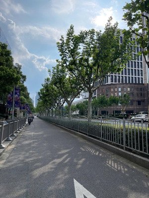 chính chủ bán đất cầu giấy lô góc 50m2 mặt ngõ ô tô đỗ cửa gần trung kính