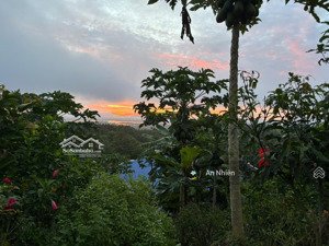 850 triệu sở hữu vườn suối mát gần hồ trị an view nghỉ dưỡng cực đẹp