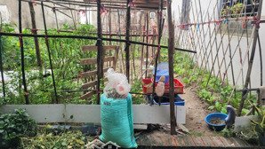 bán đất tại xã xuân nộn, đông anh, hà nội, 4,2 tỷ, 58m2