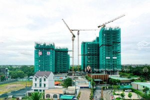 rổ hàng elysian tháp b - mua trực tiếp cđt ký hđ 5%, tặng 5 năm pql