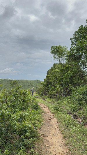 gia đình cần tìm chủ cho 5 héc đất rừng hoà quang, view đẹp