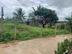 hàng hiếm cam lâm, đường to, hướng bắc, tách được 2 lô, giá chỉ 1 tỷ 2(bao sổ)