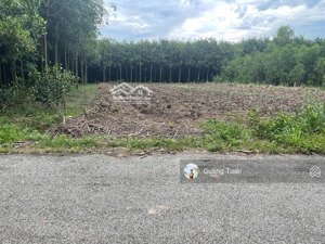 cần bán 434,3m² đất thổ cư mặt tiền đường dh504, khu dân cư hiện hữu, sầm uất, shr