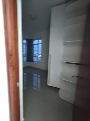 cho thuê căn hộ cao cấp ngọc phương nam quận 8