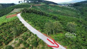 bán đất tại đường 28, xã tân thượng, di linh, lâm đồng, giá cực chất chỉ với 390 triệu, 347m2