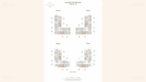 ra mắt chung cư dành cho giới thượng lưu ngay sát times city phiên bản giới hạn chỉ có 619 căn hộ