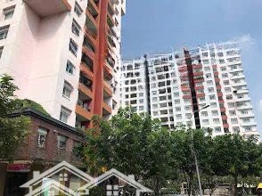 cho thuê nhà lầu cao, view đẹp, giá hạt dẻ