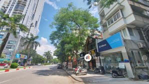 tin chuẩn! lk mặt phố văn quán, lô góc 140m2x5t nhỉnh 35 tỷ, kd đỉnh - đường xe bus chạy