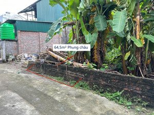 bán đất thổ cư đẹp tại phụng châu chương mỹ hà nội | nằm trong khu dân cư đông thân thiện