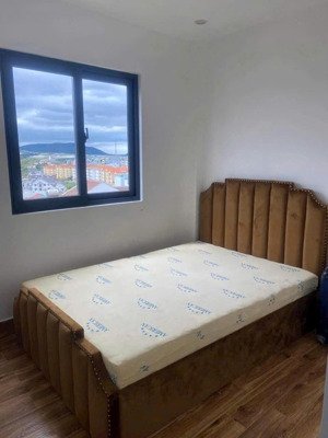 chill tại đà lạt với homestay cực chất ở phan đình giót, phường 6 , đà lạt.