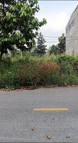 bán nhanh đất kcn nam tân uyên 5x15m sổ riêng phường uyên hưng tân uyên bình dương