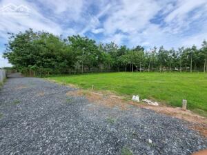 5x35 full thổ, đường thông. Sổ sẵn. Gần quốc lộ. 395tr