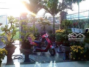 bán nhà cấp 4 gần ngã tư tân phong, kp1, phường trảng dài, biên hoà