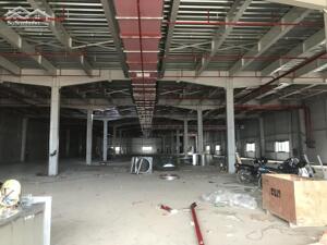 Cho thuê nhà xưởng 5.200m2 tại khu CN Thuận Thành – Bắc Ninh ,PCCC tự động hút khói.