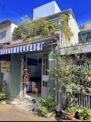 bán nhà riêng tại đường dương đình cúc, xã tân kiên, bình chánh, tp.hcm, 80m2 chỉ với giá siêu hời