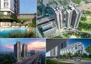 bán sớm dự án hacinco nguyễn xiển, vị trí đắc địa cạnh đại học thăng long, giá chỉ 70 tr/m
