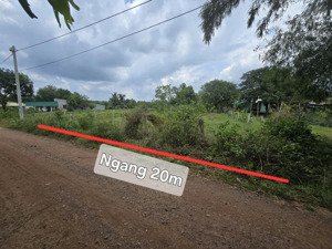 hàng hiếm đầu tư - sát vách bình châu giá f0! 20x50m giá 1,95 tỷ