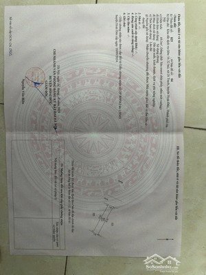 bán gấp lô đất dịch vụ di trạch hoài đức mặt đường 30m, sổ đỏ chính chủ, giá chỉ 15x triệu/m