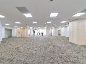 cho thuê văn phòng ngay trần thái tông kéo dài 298m², thiết kế hiện đại, giá 215k/m²/th