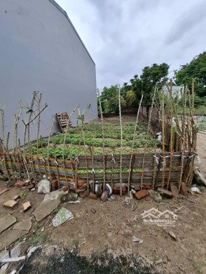 bán 66m đất tại phúc thọ, xã mai lâm, đông anh, hà nội