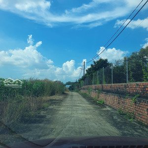 chính chủ cần thanh lý nền đất cách sân bay long thành chỉ 12km. cách kcn chỉ 2km - giá rẻ