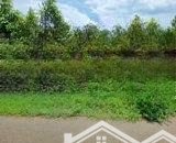 cần bán gấp miếng đất tuyến 2 đường hội bài châu pha