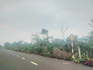 bán đất 100m2 thổ cư gần tttm kim long, châu đức, br-vt