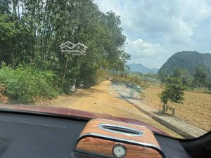 bán đất tại đinh lễ, ngọc lặc, thanh hóa, 550 triệu, 85m2