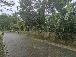 bán đất vườn 1,700m2 xã tiên hiệp, tiên phước, quảng nam), giá 6,05 tỉ