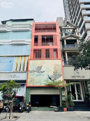 CHO THUÊ NHÀ MẶT TIỀN NGUYỄN ĐÌNH CHIỂU – TRUNG TÂM QUẬN 1