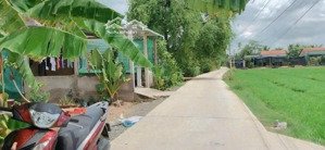 bán đất tại ngô văn lớn, lợi bình nhơn, tân an, long an, giá siêu hời 9 tỷ, 664 m2