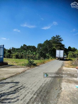 trả tiền hàng cuối năm, chị tâm ra gấp lô đất 157m2 giá siêu tốt ngay bách hóa xanh nguyễn thị lắng