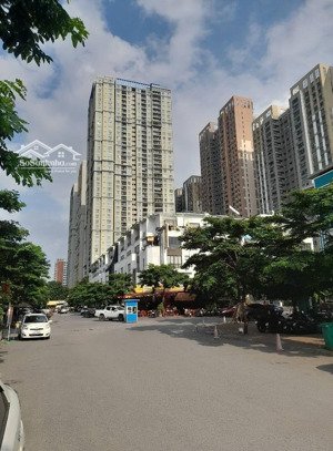 cho thuê liền kề hoàng thành mỗ lao hà đông 