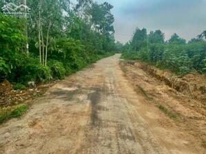 Bán lô 1500m2, mt 26m băng 2 đường 310 Đạo Tú, Tam Dương lh_0987673102