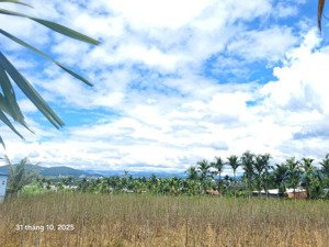 bán đất ven đà lạt 600m² sẵn 200m thổ cư sổ riêng view rừng thông, giáp suối, gần khu biệt thự