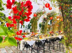 biệt thự đơn lập 458m2 suối chảy quanh nhà 